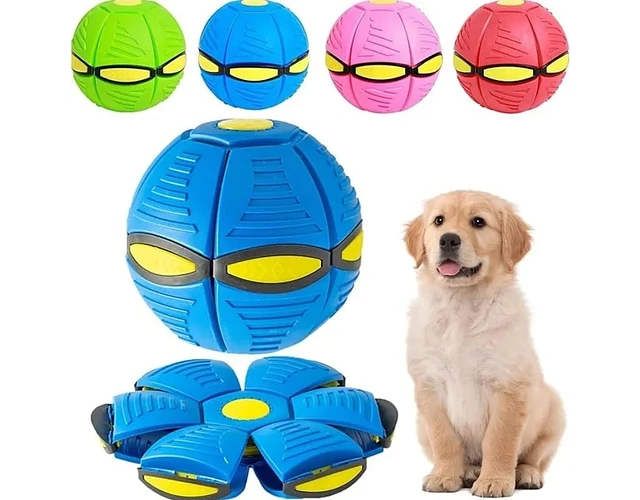 Pelota Frisbee Perro 2025