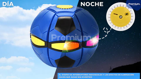 Pelota Frisbee Perro 2025