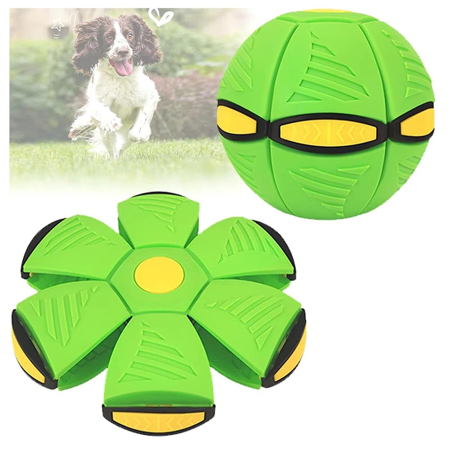 Pelota Frisbee Perro 2025
