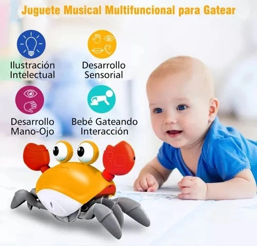 Cangrejo Musical USB con Sensor de Movimiento✨🎵 – Estimula el gateo – Ayuda a tu bebé a desarrollar su motricidad en solo días de juego - Color sorpresa🎉