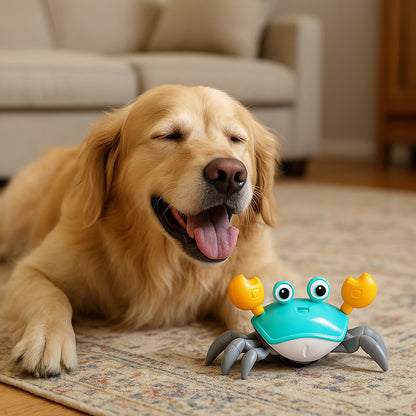 Juguete Cangrejo Interactivo USB - Corre y Esquiva - Mantén a tu mascota activa y feliz cada día en minutos 🐶❤️🐾con Sensor de Movimiento✨🎵 – Color sorpresa🎉