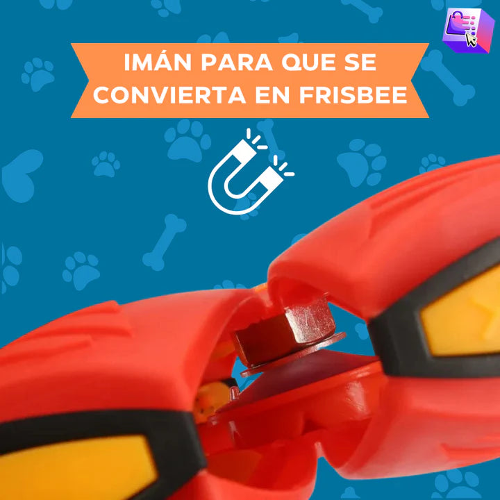 Pelota Frisbee Perro 2025